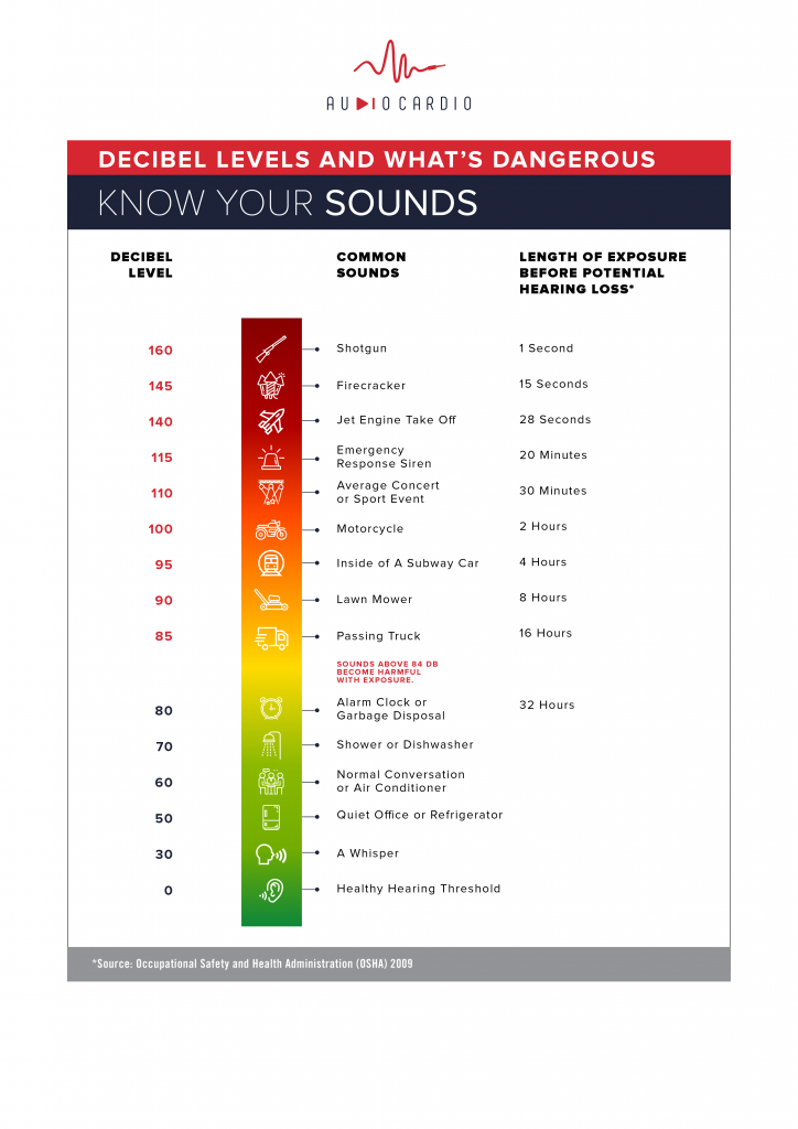 audiocardio infographic with safe and dangerous decibel levels
