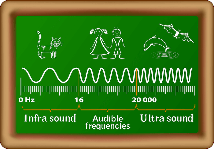 The Difference Between Infrasound and Ultrasound | AudioCardio